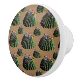 Botão Cactus Knobs