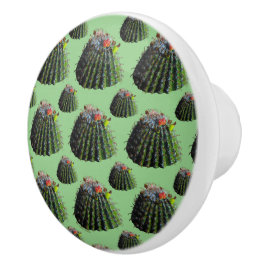 Botão Cactus Knobs