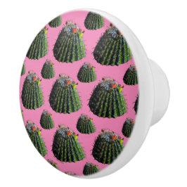 Botão Cactus Knobs