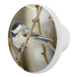 Botão cerâmico de Chickadee com tampas pretas