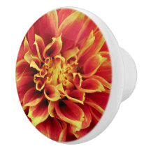 Botão de Gaveta de Fechamento Vivid Orange Dahlia