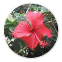 Botão de Gaveta Red Hibiscus