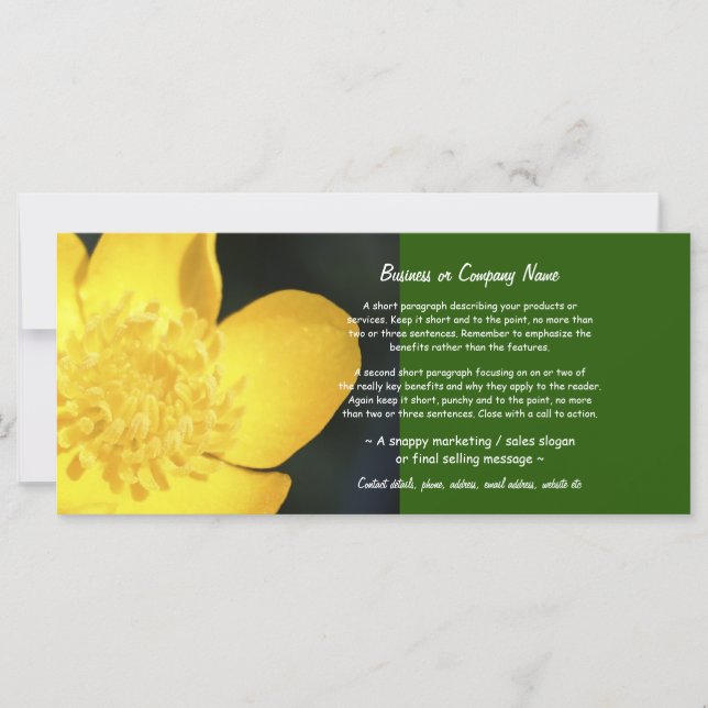 Botão do Ouro encharcado Sun (Frente)