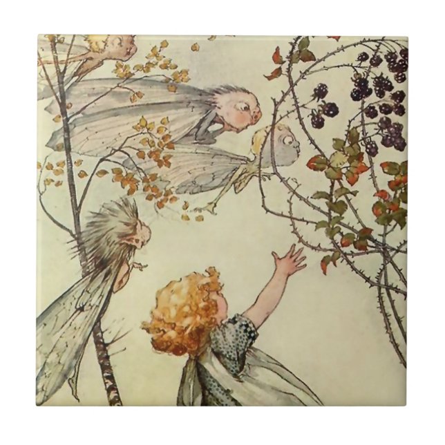 "Bother the Wind", de A Carcaça Duncan (Frente)