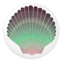 Botões de Gaveta do Shell do Mar de Praia - SRF