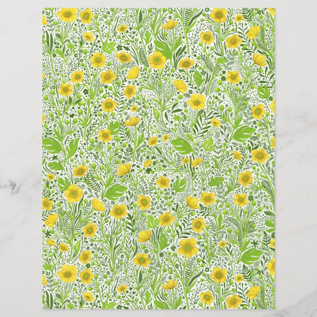 Botões em branco (Frente)