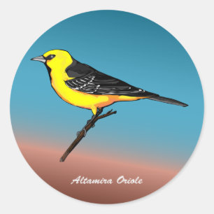 Botões & etiquetas de Altamira Oriole rev.2.0