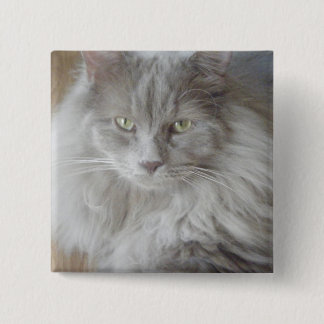 BÓTON QUADRADO 5.08CM 2009_09190028