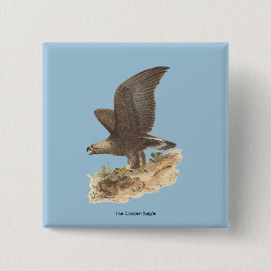 Bóton Quadrado 5.08cm A Águia Ouro (Aquila chrysaetos) NY Imagem do Páss
