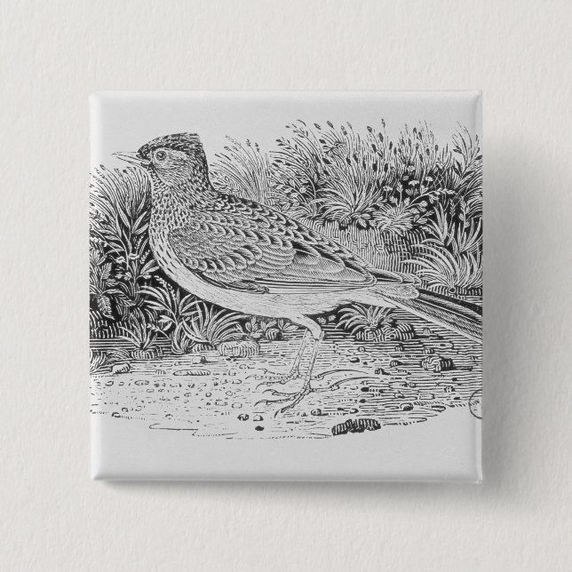 Bóton Quadrado 5.08cm A cotovia (Frente)