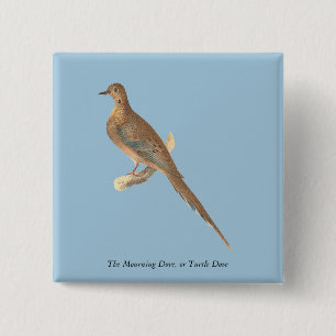 Bóton Quadrado 5.08cm A Dove de Luto (Carolina Turtle Dove) NY Aves