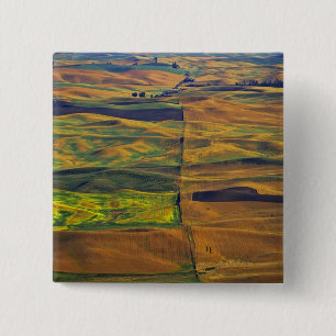 Bóton Quadrado 5.08cm A paleta do botão Steptoe, Colfax,