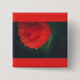 Bóton Quadrado 5.08cm A papoila e a aranha