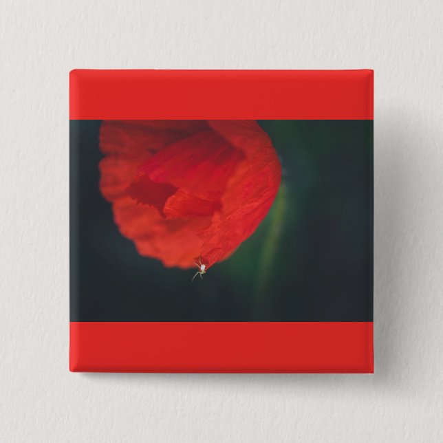 Bóton Quadrado 5.08cm A papoila e a aranha (Frente)