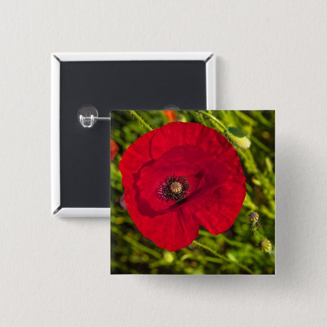 Bóton Quadrado 5.08cm A série de papoila nº 2 (Frente & Verso)