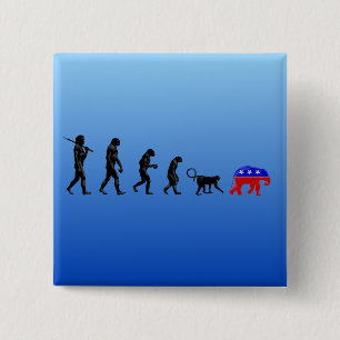 Bóton Quadrado 5.08cm A teoria Democrática da descentralização