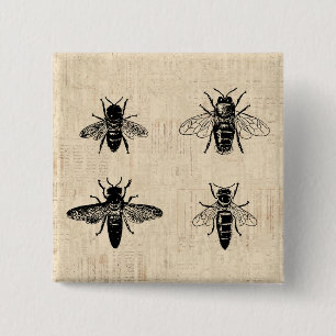Bóton Quadrado 5.08cm Abelhas - Ilustração Antiquada Design de Pintura
