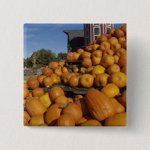 Bóton Quadrado 5.08cm Abóboras na fazenda no outono perto da concórdia