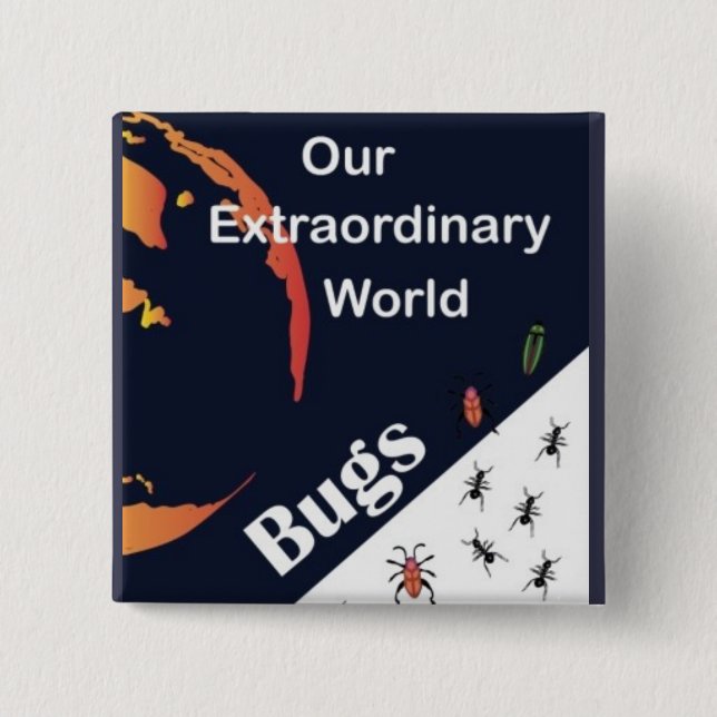 Bóton Quadrado 5.08cm Adventurer Club (Frente)