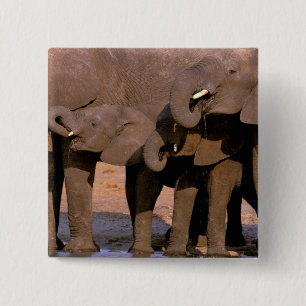 Bóton Quadrado 5.08cm África, Tanzânia, Parque Nacional de Tarangire.