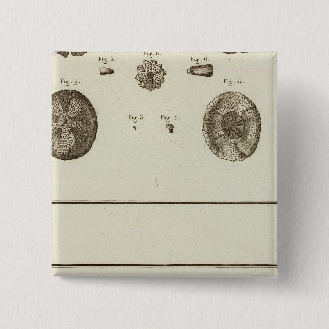 Bóton Quadrado 5.08cm Alasca (Frente)