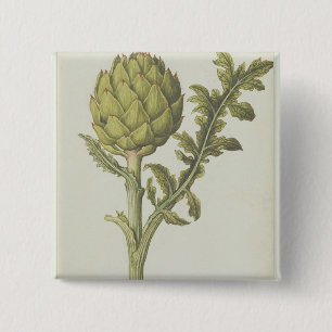 Bóton Quadrado 5.08cm Alcachofra: Scolymus do Cynara, c.1568
