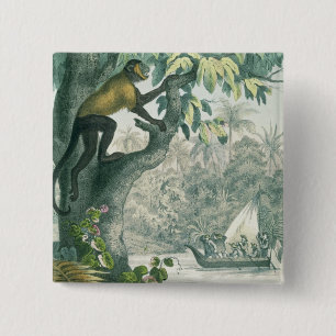 Bóton Quadrado 5.08cm Alcances superiores do Amazon, 'do der do DAS Buch