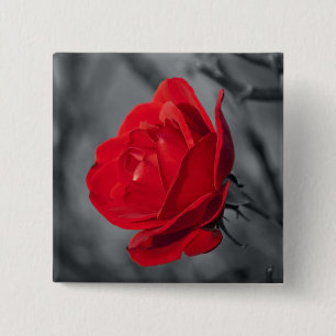 Bóton Quadrado 5.08cm Alfinete de Rosa Vermelha