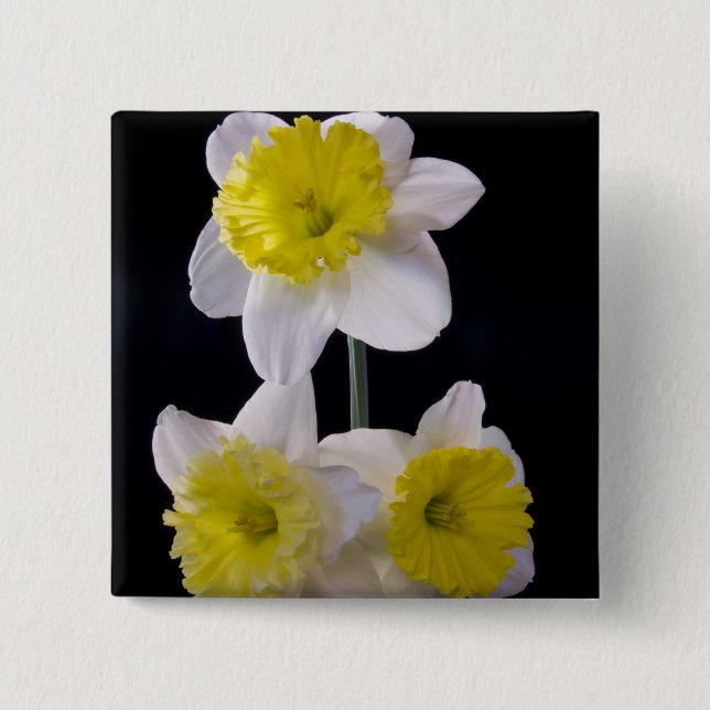 Bóton Quadrado 5.08cm Amarelo no Daffodil Branco (Frente)