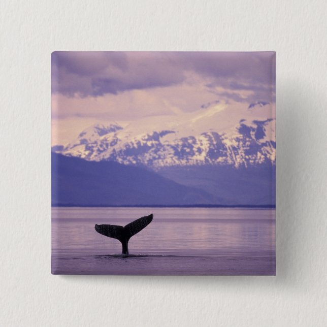 Bóton Quadrado 5.08cm América do Norte, EUA, Alasca, Dentro Passage. (Frente)