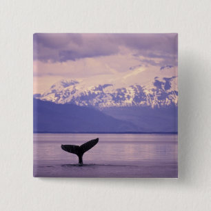 Bóton Quadrado 5.08cm América do Norte, EUA, Alasca, Dentro Passage.