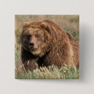 Bóton Quadrado 5.08cm América do Norte, EUA, Alasca, ilha Kodiak,