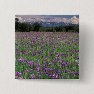 Bóton Quadrado 5.08cm América do Norte, EUA, Alaska, Anchorage, Eklutna