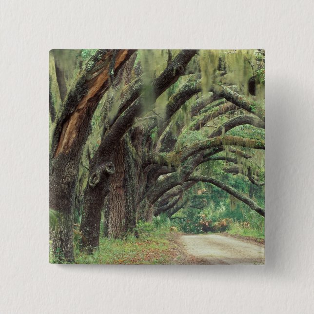 Bóton Quadrado 5.08cm América do Norte, EUA, Geórgia, Cumberland 2 (Frente)