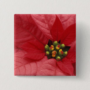 Bóton Quadrado 5.08cm América do Norte, EUA, WA, Woodinville, Vermelho 