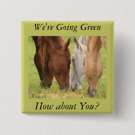 Bóton Quadrado 5.08cm Amigos de cavalos