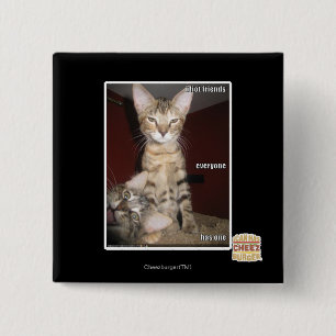 Bóton Quadrado 5.08cm Amigos do idiota