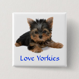 Bóton Quadrado 5.08cm Amor Yorkies Pin Botão