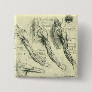 Bóton Quadrado 5.08cm Anatomia do braço e do ombro de Leonardo da Vinci