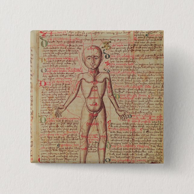 Bóton Quadrado 5.08cm Anatomia do corpo humano (Frente)