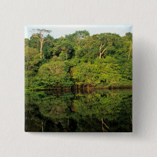Bóton Quadrado 5.08cm Anavilhanas, Amazonas, Brasil. Rio da floresta tro