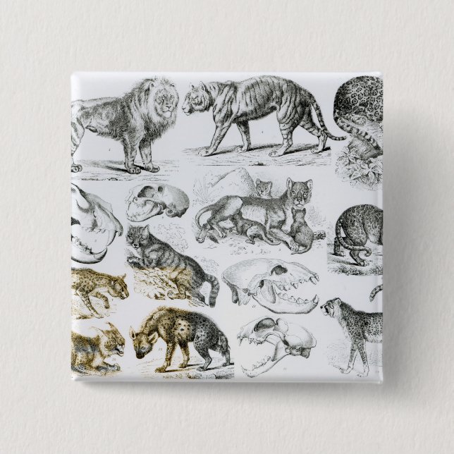 Bóton Quadrado 5.08cm Animais carnívoros (Frente)
