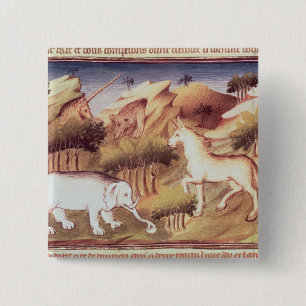 Bóton Quadrado 5.08cm Animais Mythical na região selvagem