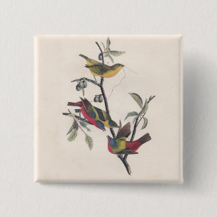 Bóton Quadrado 5.08cm Animais Selvagens de Aves Pintadas com Audubon