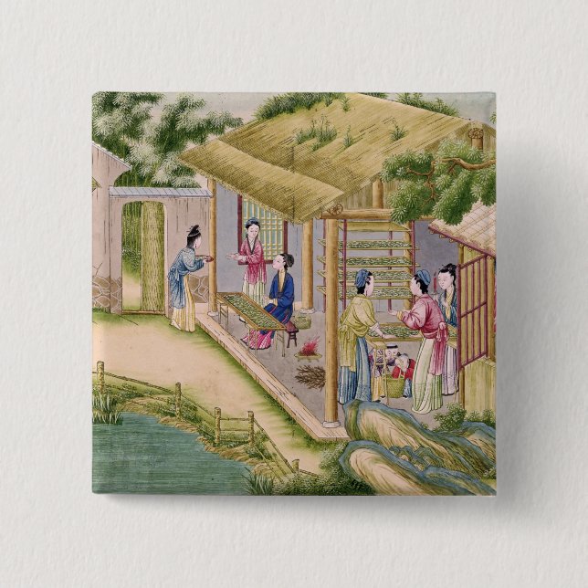 Bóton Quadrado 5.08cm Aprendizagem sobre bichos-da-seda (Frente)