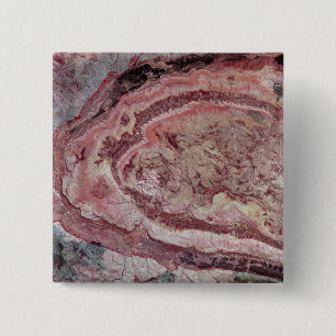 Bóton Quadrado 5.08cm Aranha-Aranha, Austrália Ocidental