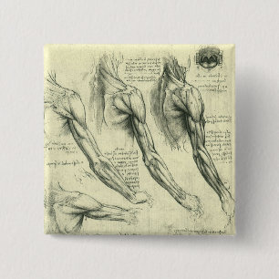 Bóton Quadrado 5.08cm Arm e Anatomia do Ombro por Leonardo da Vinci