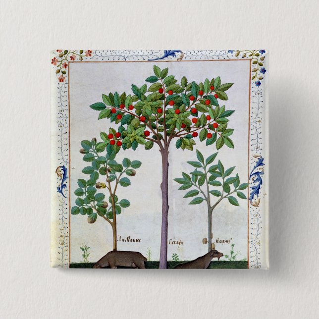 Bóton Quadrado 5.08cm Árvore da avelã Bush e de cereja (Frente)