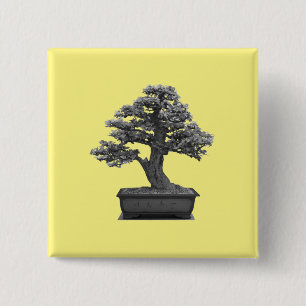 Bóton Quadrado 5.08cm árvore do bonsai