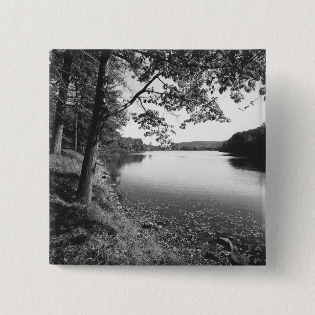 Bóton Quadrado 5.08cm Árvores pelo rio B&W (Frente)